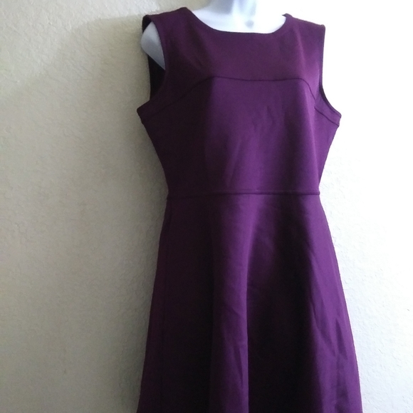 Dresses & Skirts - Daisy Fuentes, purple casual business dress, L